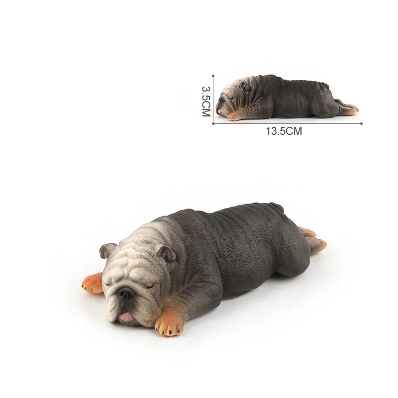 Simulation Dog Новая модель пластиковые животные собака Шарпей бульдог фигурка образование биология реквизит украшение взрослые детские игрушки Biologia - Цвет: Simulation Dog