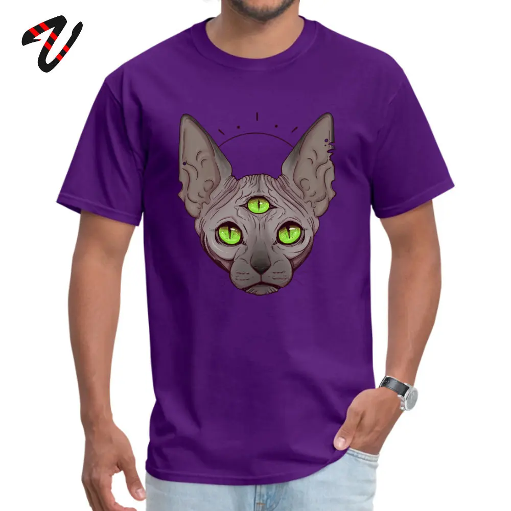 Футболка с рисунком «Три глаза» для мужчин, Cheshire, топы, Sphynx, канадские любительские футболки без волос, большие размеры, Всевидящее Око хлопковая футболка