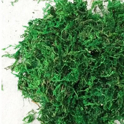 2Packs Moss (Sold in per package of 5g) For DIY jewelry making glass globe necklace Fairy Dust Bottles | Украшения и аксессуары