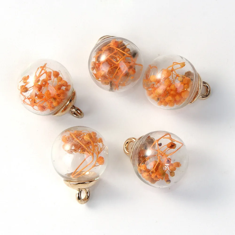 DoreenBeads DIY подвесные стеклянные бусы, амулеты, бутылки, цветные высушенные цветы, прозрачные 22 мм x 16 мм(7/" x 5/8")-21 мм x 16 мм, 5 шт