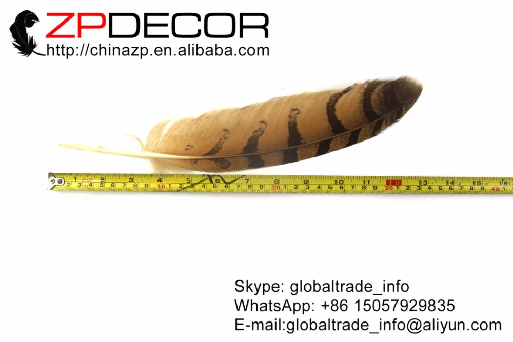 

ZPDECOR 30-35( 12-14inch) 50pieces/lot Real Natural Beautiful Owl Eagle Feathers for Art Design and DIY Decoration