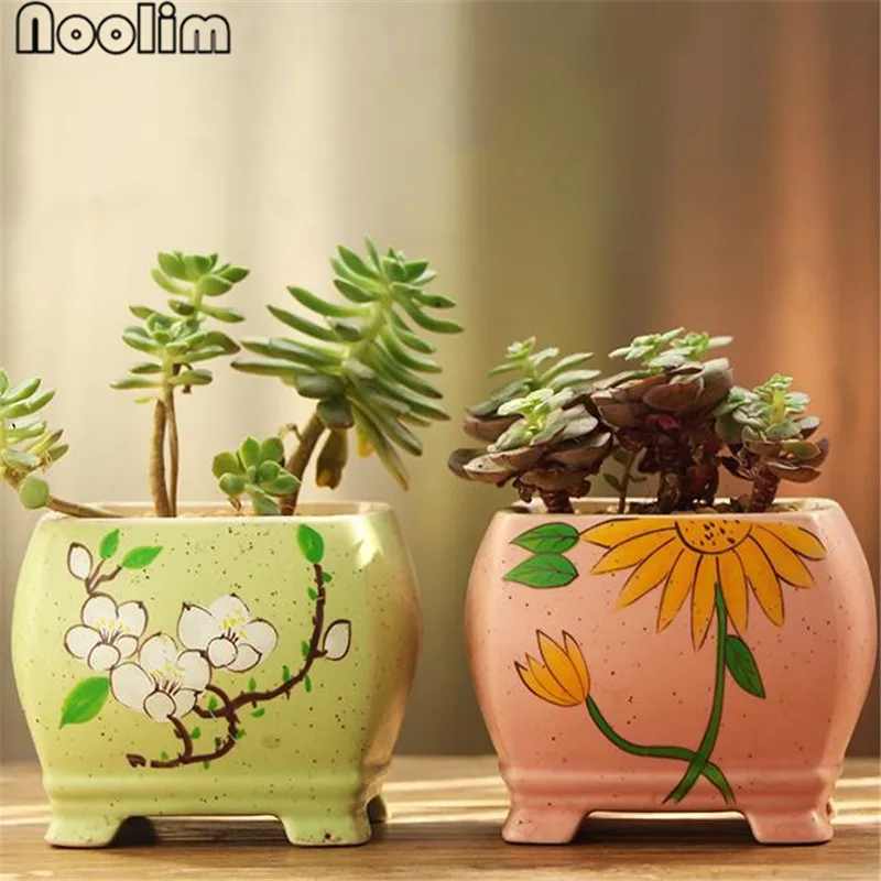 Простой суккулентный горшок для растений в Корейском стиле расписанный вручную