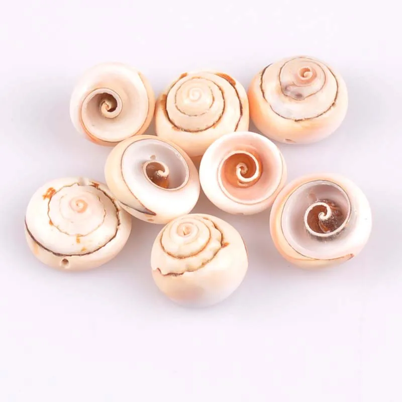 10 шт. спиральные ракушки для украшения дома 20 мм|crafts diy|craft scrapbookcraft seashells |
