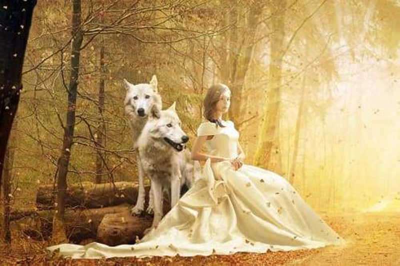 

Glymg 5d Diamond Craft Painting Diamond Mosaic Gift Diy Diamond Embroidery Snow White And The Wolf Diamond Wall Arts Decor