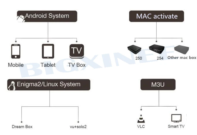 4K Italia iptv m3u Поддержка iptv italia без коробки 4000+ каналы ip-телевещания VOD X96 Мини ТВ приставка на базе Android box 1 год Бесплатные iptv подписки
