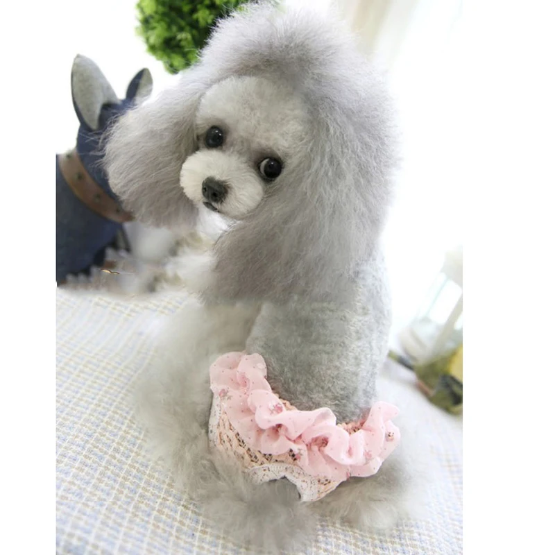 100% хлопковое женское нижнее белье для собак кружевные шорты трусики щенков