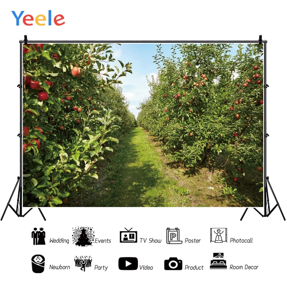Фон для фотосъемки Yeele с изображением сада фруктов сильной жизнерадостной милой