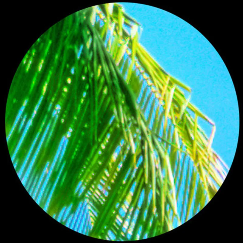 Обои для фотосъемки обои из нетканого материала 3D с изображением пальм пляжа