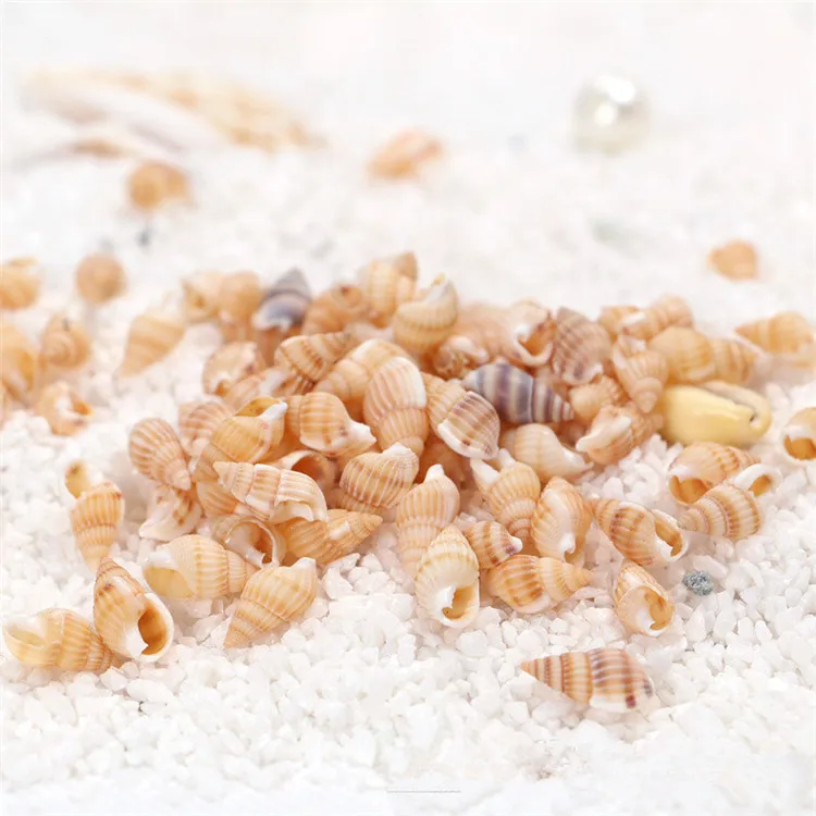 Натуральная раковина самодельный аквариум украшение для дома желтая sallei около 1