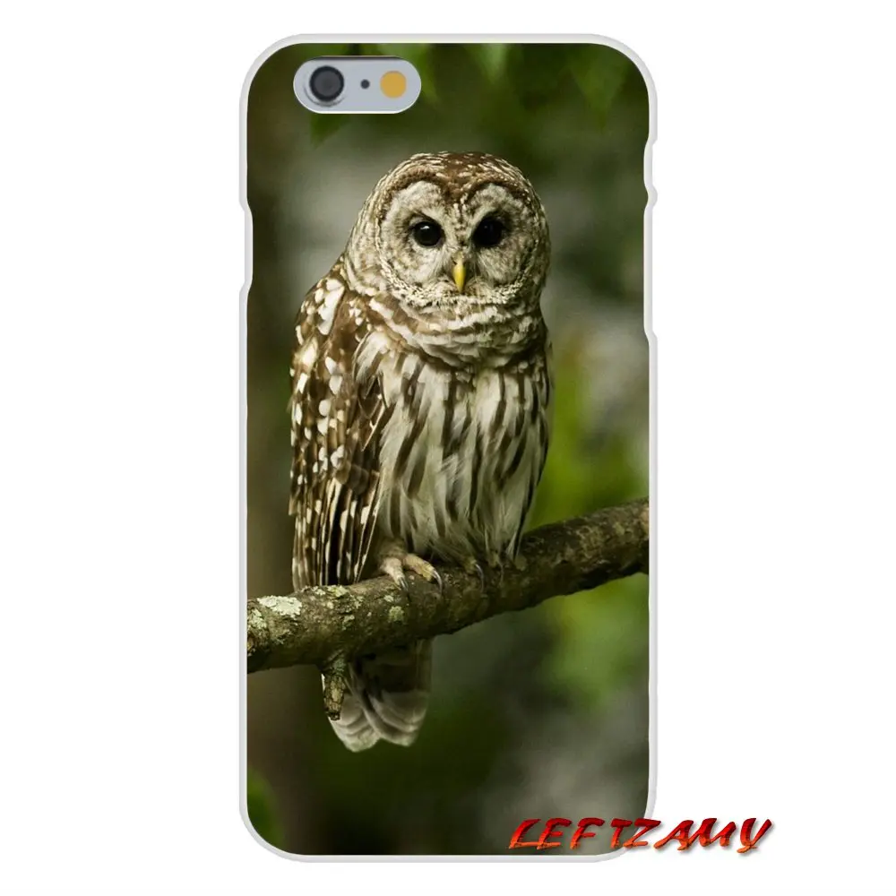 Cute Owl Animal Painted Design Accessories Phone Cases Covers For Samsung Galaxy A3 A5 A7 J1 J2 J3 J5 J7 2015 2016 2017 | Мобильные