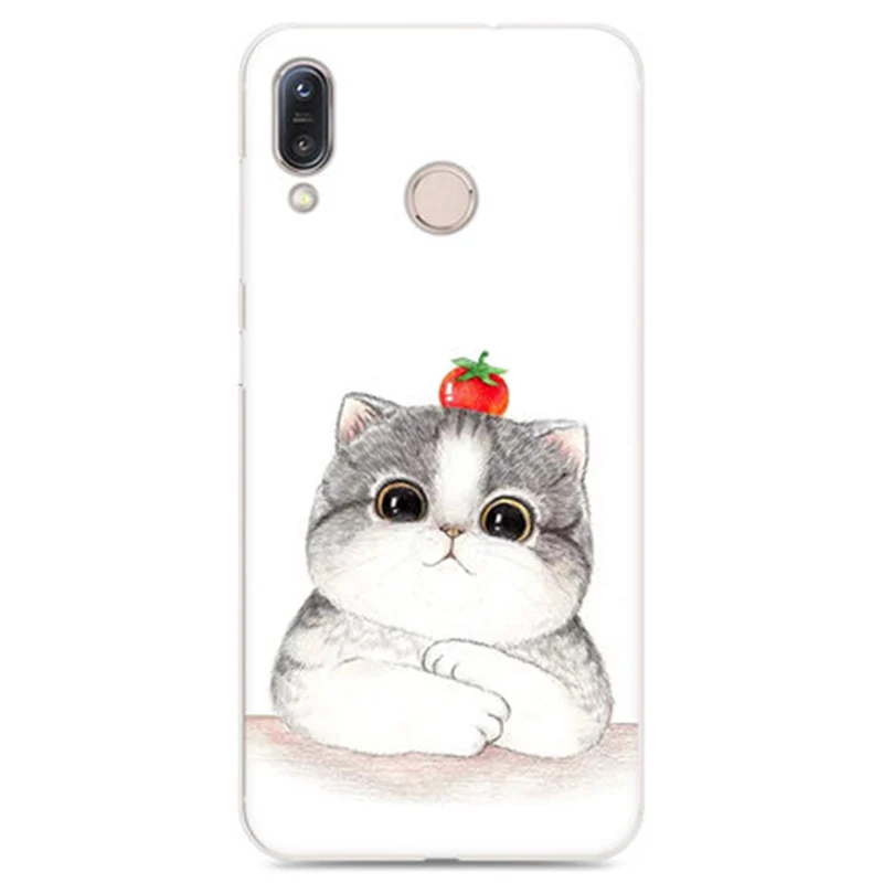 2 шт. чехол для ASUS ZenFone Max ML милые Мультяшные мягкие чехлы телефонов ZB555KL задняя