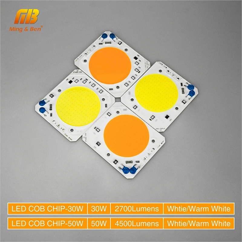 30 Вт 50 светодио дный COB Чип AC 220V 110V Анти Всплеск дизайн Smart IC Высокая