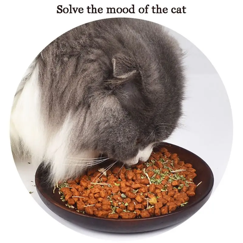 SMARTPET котенок кошка кошачья мята Безопасность съедобные натуральный