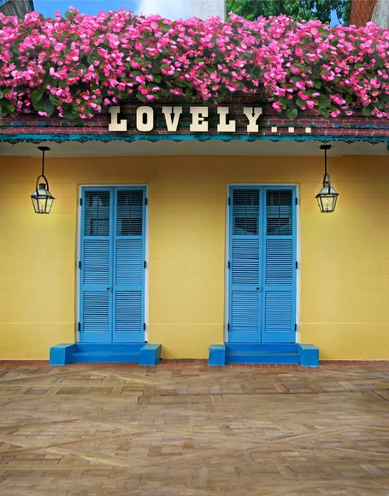 5x7ft дом Голубая дверь розовые цветы Фото фоны реквизит студия фон | Электроника