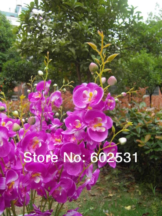 SPR (10 шт./лот) искусственная ткань фаленопсис Бабочка Моль Орхидея букет домашний