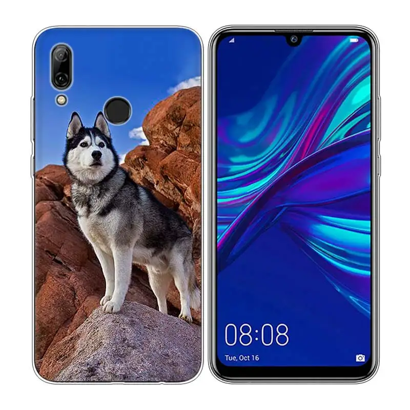 Силиконовый чехол для телефона с милой собачкой из материала Хаски для huawei P30 Lite P Smart Honor 7A 8 8A 8C 8X 10i Y5 Y6 Y7 Y9 Pro