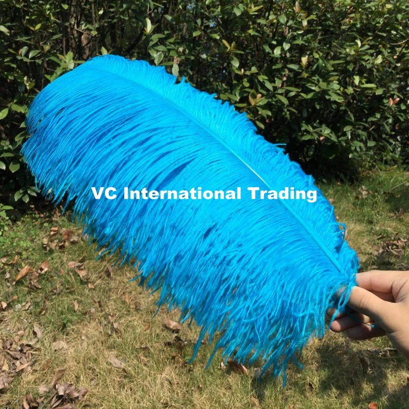 Оптовая продажа твердого стержня 100 шт./лот натуральный бирюзовый страусиные