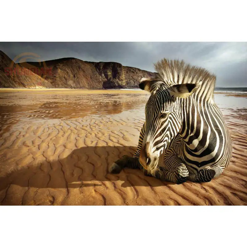 Новинка Обувь для прогулок на постер с зеброй из сатина печати плакатов ткань