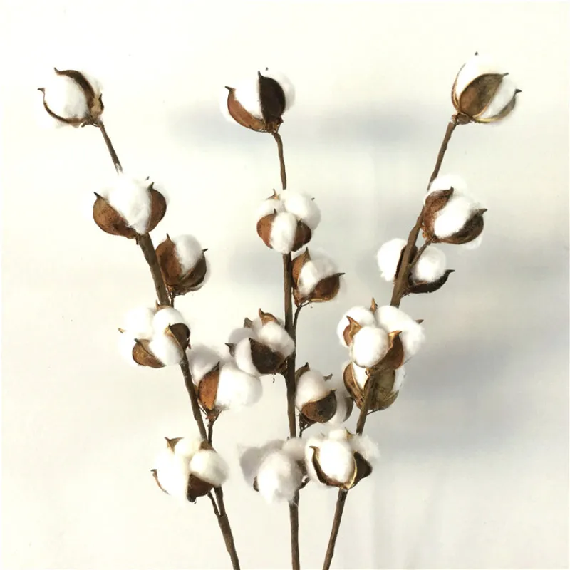 

Artificial Flowers Dried Flower White Cotton Branch 6 Head Cotton Long Branch Simulation Cotton Tree Branch Home Wedding Decor