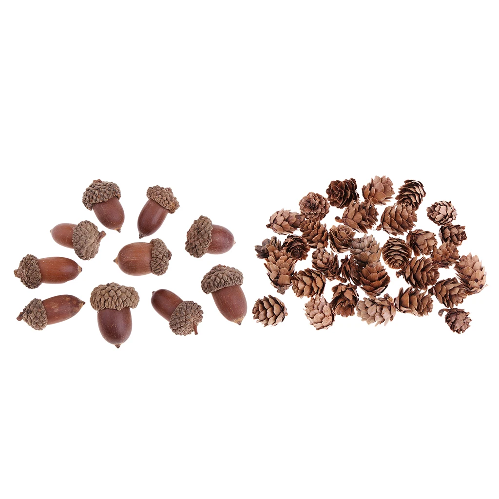 40 шт. натуральные мини сосновые конусы засушенные цветы Рождественские