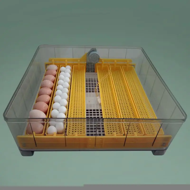 Mini Digital Eggs Incubator Incubation Machine for Temperature Control Electric Automatic Hatcher Hatchery Brooder Equipment | Дом и сад
