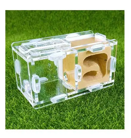 Мини-штукатурка Муравьиное гнездо 2 комнаты искусственный дом Москитная клетка