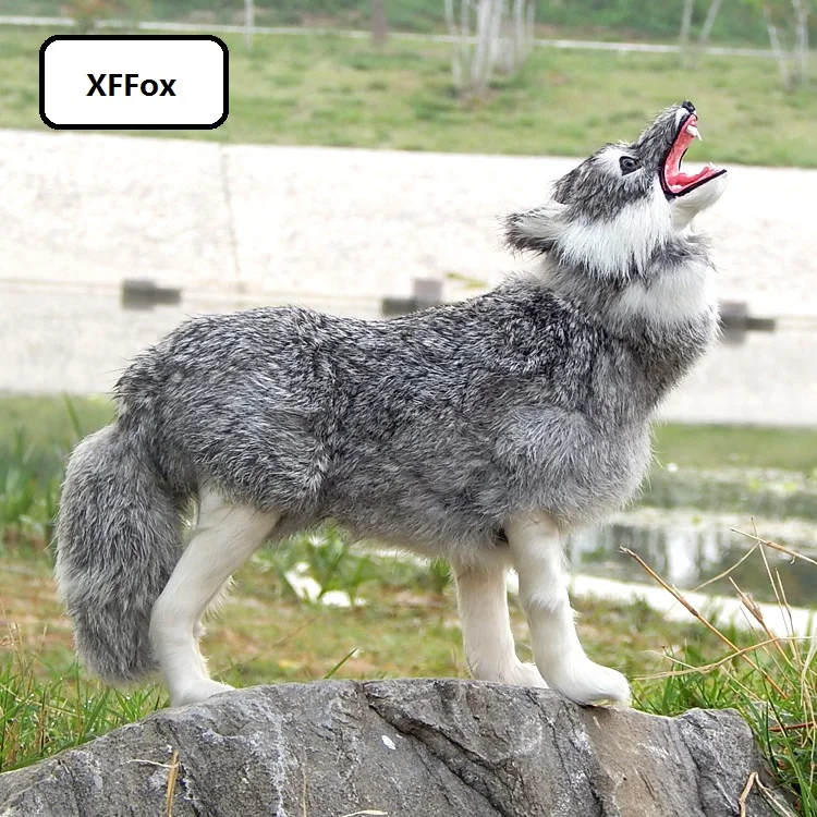 

big simulation gray wolf model polyethylene&furs standing wolf gift about 35x12x30cm xf2079