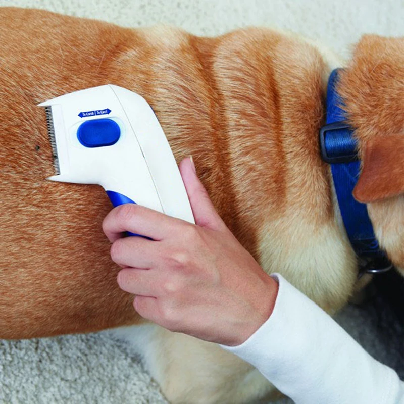 New Electric Pet Flea Cleaner Comb Dog And Cat Mites Cleaning Brush pet comb Prevent DROP SHIPPING | Дом и сад