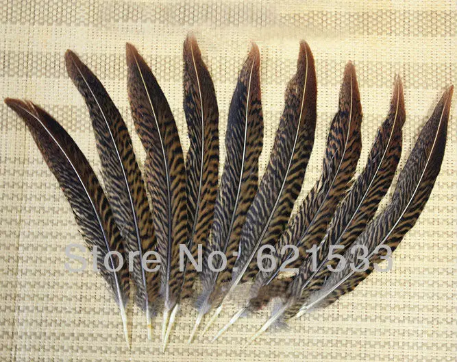 Оптовая продажа красивые! 100 шт./лот золотые фазаны хвосты 15-20 см/6-8 дюймов | Дом и