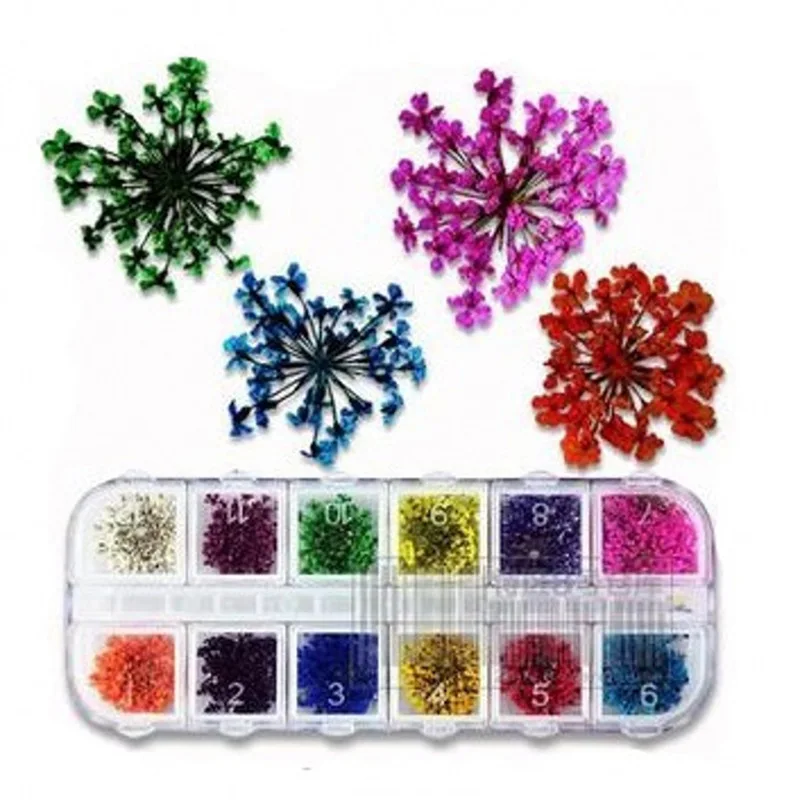 36 шт. кружевные сухие цветы для ногтей трехмерные 12 цветов #1165 | Красота и здоровье