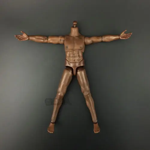 

12 Inches Male Strong Bodies Brown Color For 1/6 Head Sculpt