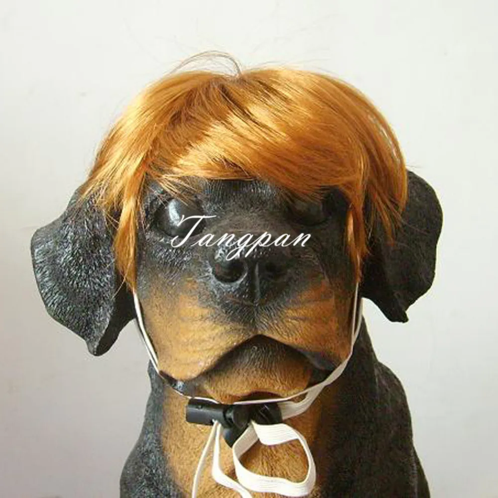 Короткие золотые волосы Tangpan для домашних животных кошек собак Bobo аксессуары |