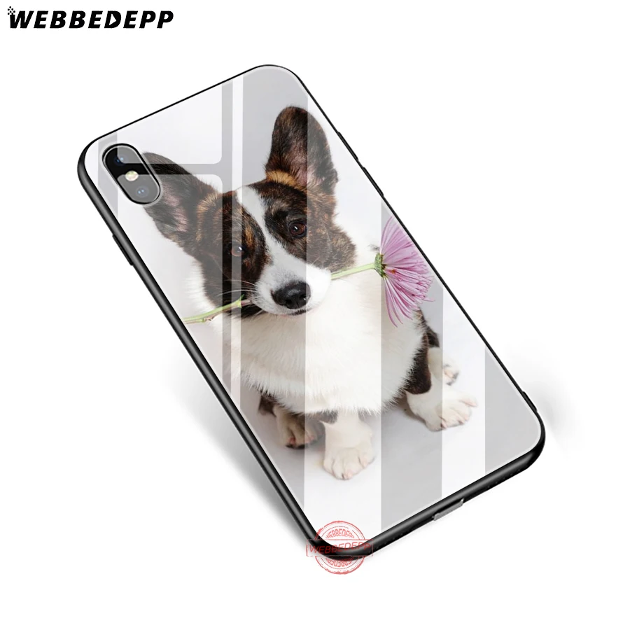 WEBBEDEPP чехол для телефона из закаленного стекла Apple iPhone XS Max XR X 8 7 6S Plus 5S SE | Мобильные