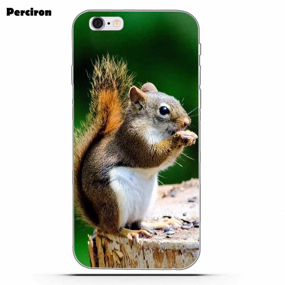 as picture Perciron Squirrel Soft TPU Print Cover Case For Xiaomi Redmi Note 2 3 3S 4 4A 4X 5 5A 6 6A Pro Plus - Цвет: as picture