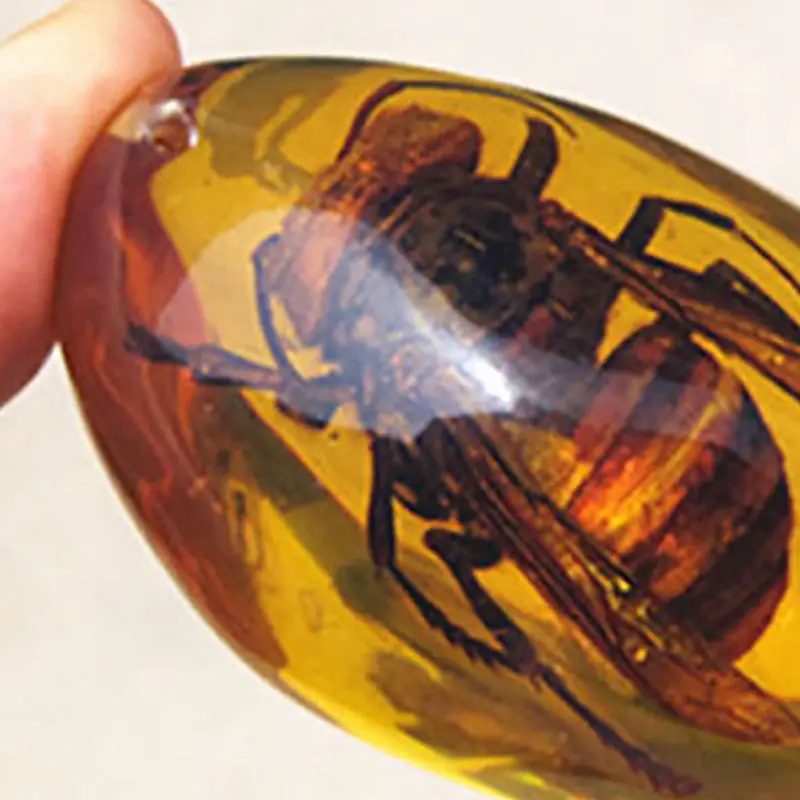 Желтые янтарные пчелы натуральные насекомые образцы для украшения