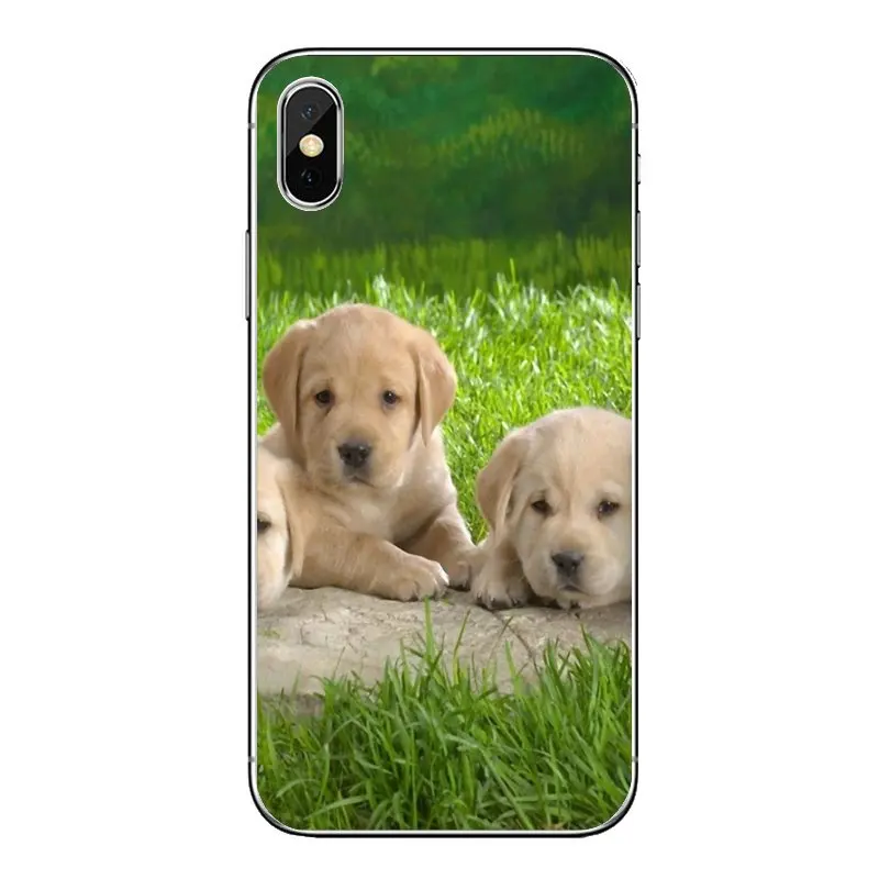 Забавные мягкие прозрачные чехлы для iPod Touch iPhone 4 4S 5 5S 5C SE 6 6S 7 8 X XR XS Plus MAX |