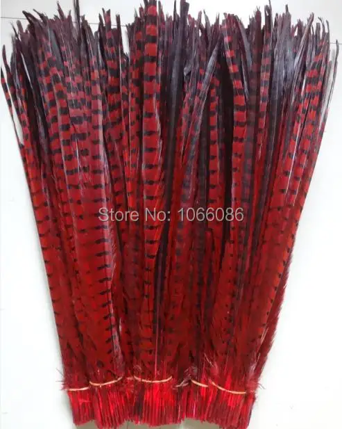 

Free shipping manufacturers sale 100pcs 50-55cm 20-22inch red ringneck feather tail lady amherst pheasant feathers