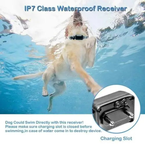 

300M Rechargeable Pet Training Collar Waterproof IP67 Remote Control For 1~3Dog