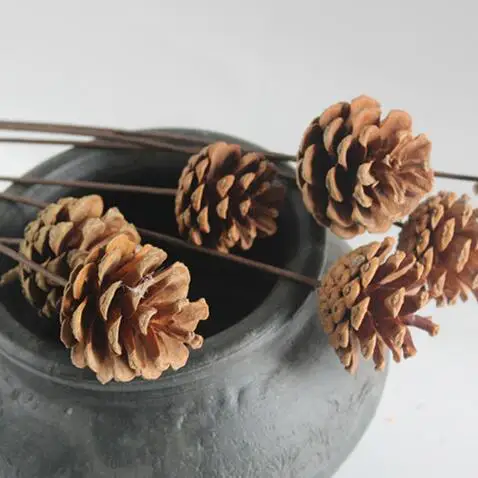 Натуральные сухие сосновые конусы Pinecone Рождество Новый Год праздничное