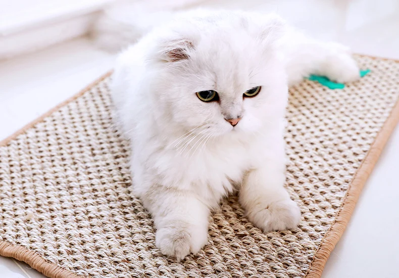 Hoopet игрушка для кошек коврик для домашних животных товары для кошек мультфильм царапины доска игрушка котенок Когтеточка Интерактивная Когтеточка