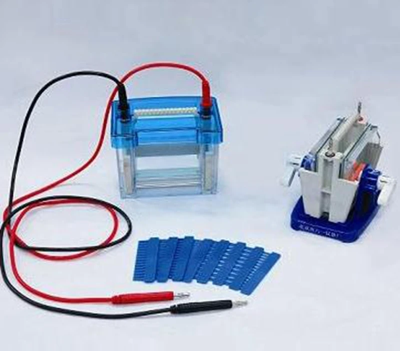 

Lab Mini Modular Dual Vertical Gel Electrophoresis Cell System