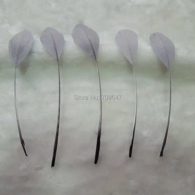

Grey Feather! 100PCS/LOT! Stripped Goose Satinettes feathers craft/millinery,Costume,Party,Decor,Hats,,10-18cm length
