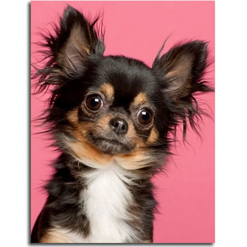 Diamond embroidery ugly dog Picture Of Rhinestone animal diamond cross stitch crystal Home Decoration Mosaic hobby icon | Дом и сад