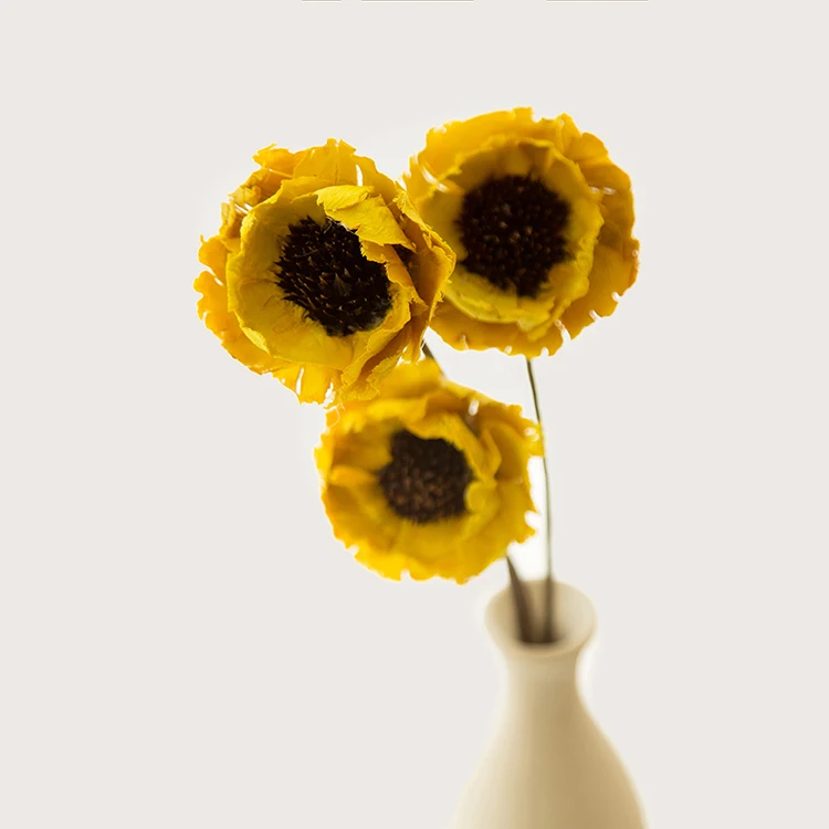 3 шт./лот высушенные цветы ручной работы натуральное растение антивыцветающая