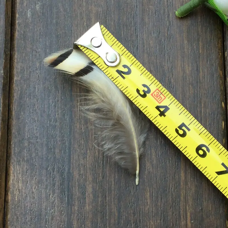 Wholesale 50pcs/lot 2-10cm Turkey Pheasant Feather Party Holiday Hat Necklace DIY Craft Clothing Decoration | Дом и сад