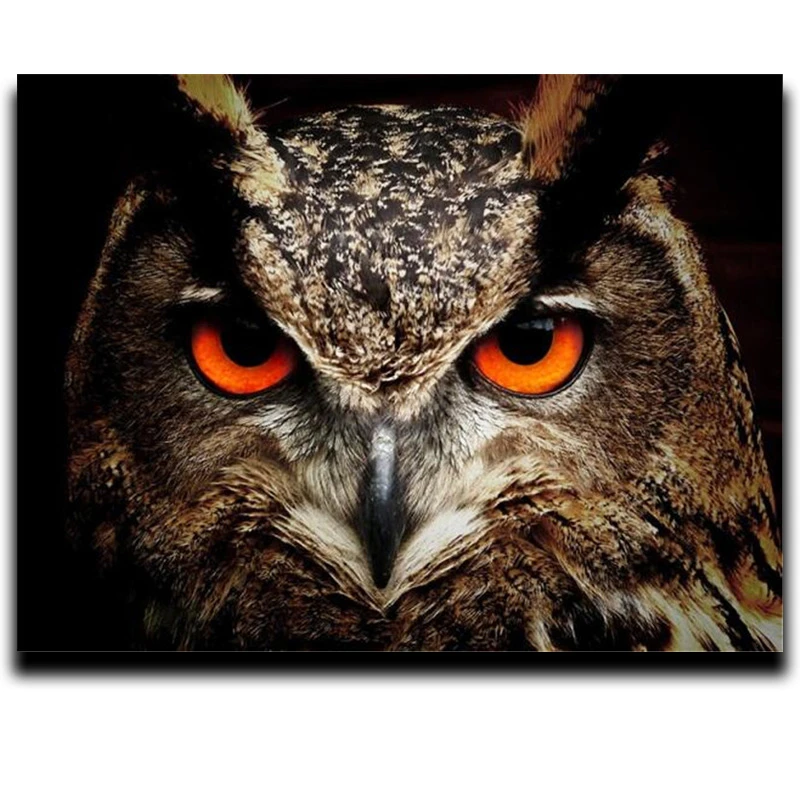Diy Diamond bird cross stitch painting Full diamond embroidery animals DIY round  square mosaic home decor Cute owl | Дом и сад