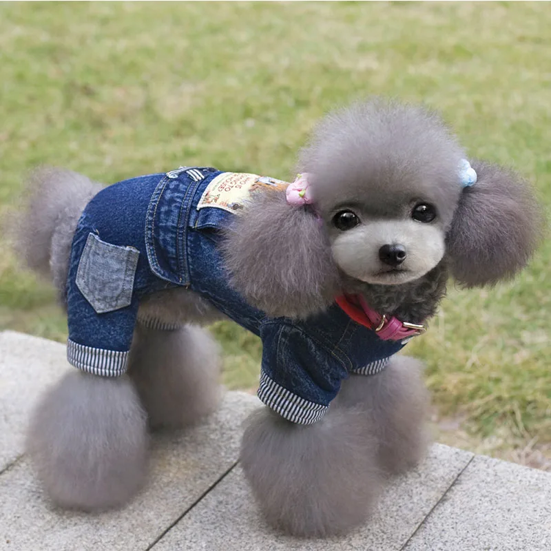 Зимние теплые маленькая собака джинсовое пальто jacketdog щенок комбинезон с