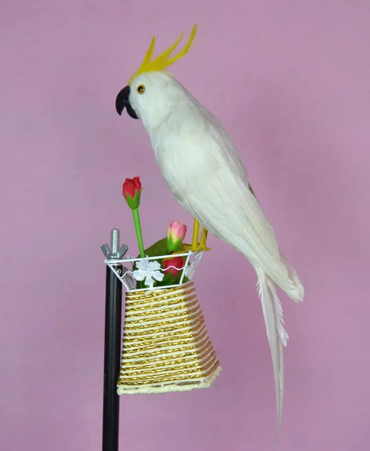 

about 40cm white feathers Cockatoo parrot,Handmade model,polyethylene&feathers bird ,prop,home decoration toy gift w3942