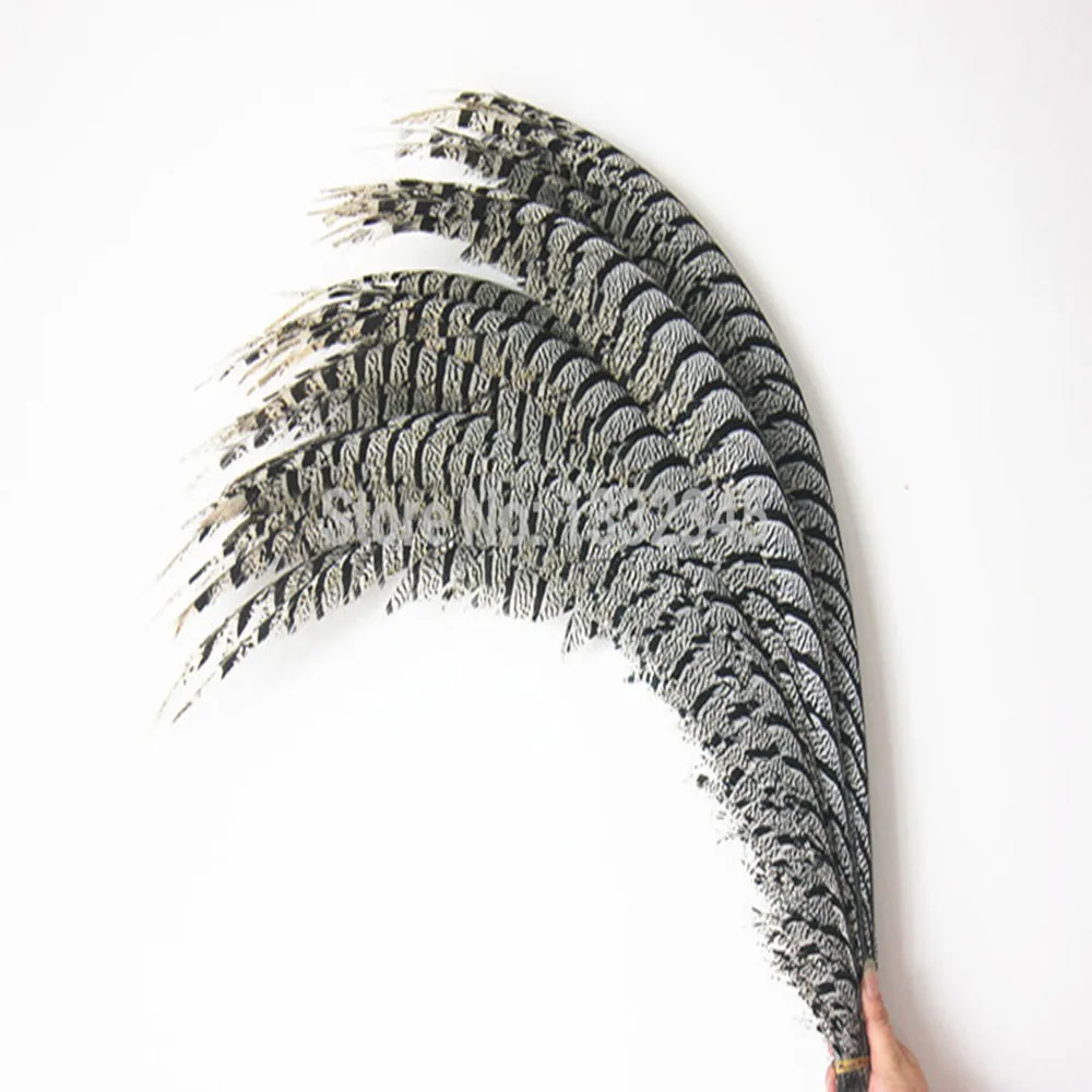 

10 Pcs Natural pretty copper Chicken tail feathers 32-36 inches 80-90CM