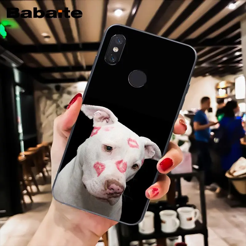 A5 Babaite питбуль прекрасная собака защитный чехол для телефона для Xiaomi MiA1 A2 lite F1 Redmi8 6A 4X 5Plus S2 Note7 8Pro 5A 7A - Цвет: A5